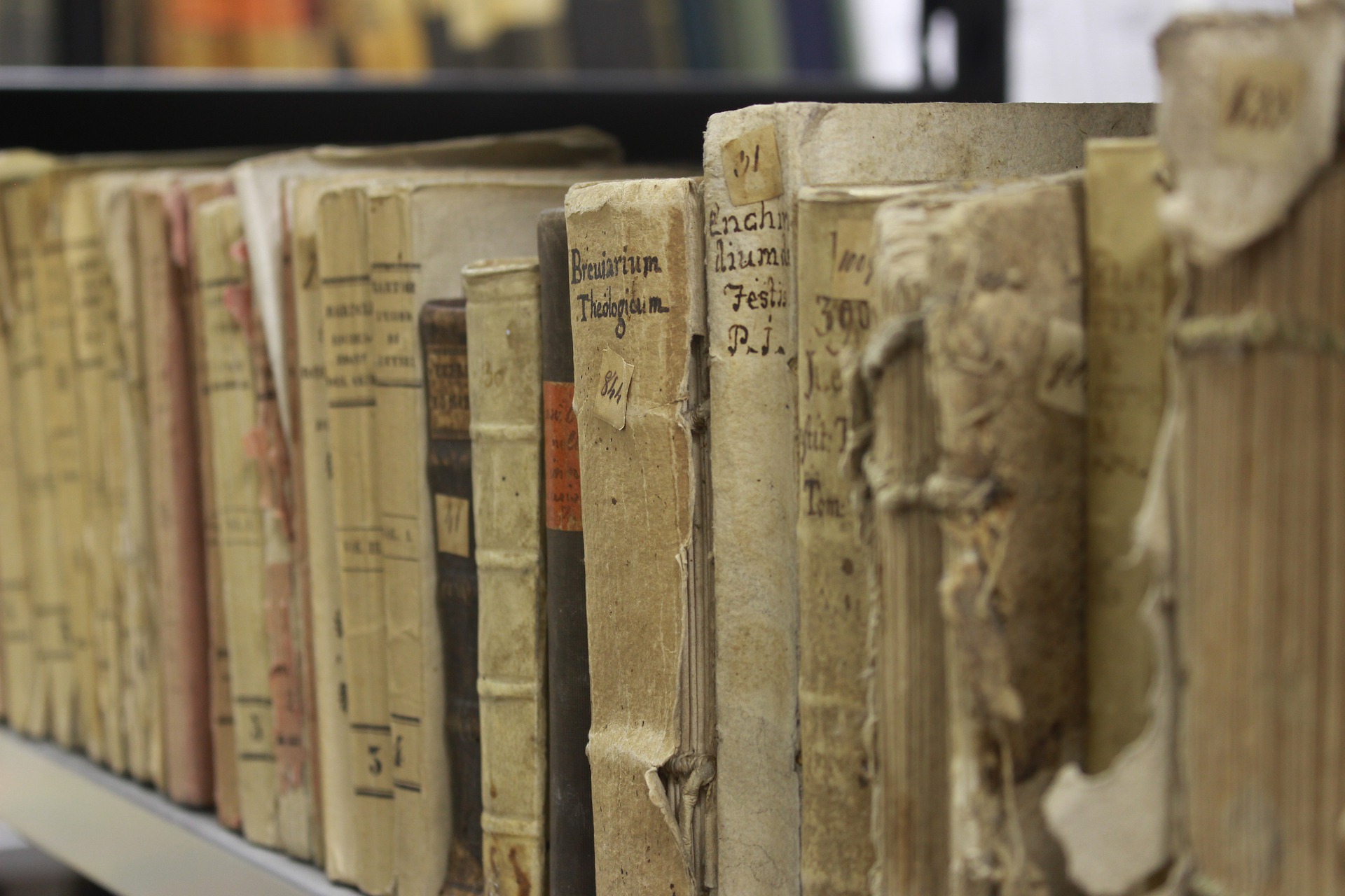 Документы об архивах библиотек. Старые книги. Древние архивы. Старинная библиотека. Старинный стеллаж с книгами.